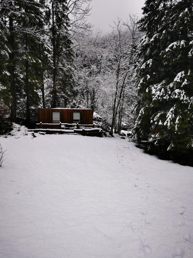 Holiday home Skalca